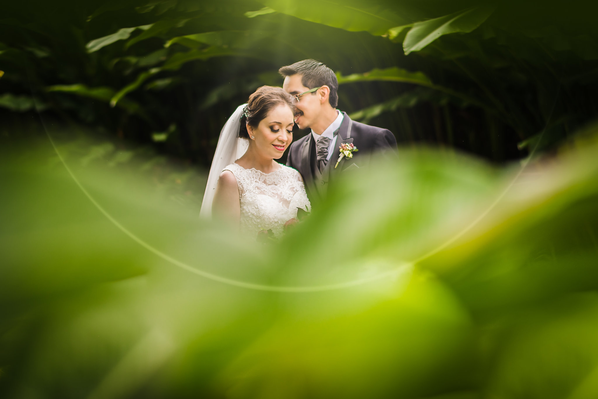 Boda - Merida, Yucatan.